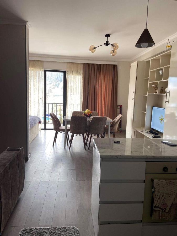 Vitali Apartment Боржоми Экстерьер фото